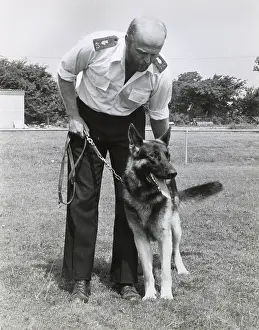 Policing: Police dog handler and dog, Camborne, Cornwall