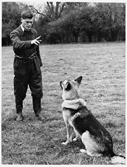 Obedience: POLICE DOG TRAINER