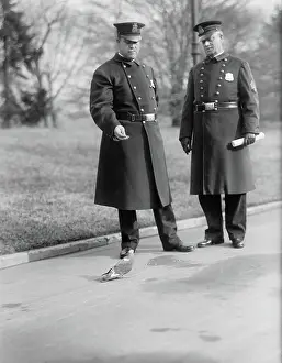 Cops: Police - Men - Occupations - White House
