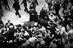Unruly: Policeman on horseback with an unruly crowd