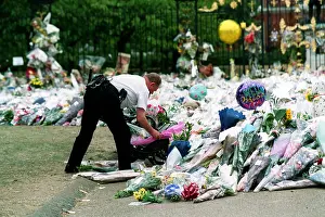 Tidies: Policeman Tidies Flowers
