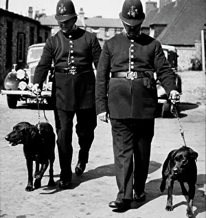 Two policemen with dogs