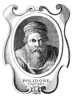 1495: POLIDORO CALDARA