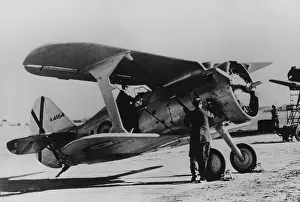 Polikarpov: Polikarpov I-15 Chato
