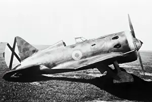 Rata: Polikarpov I-16 Rata
