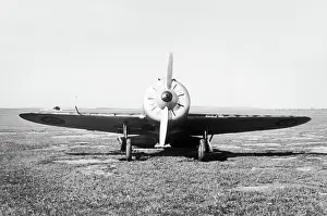 Rata: Polikarpov I-16 Rata
