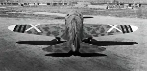 Rata: Polikarpov I-16 Rata
