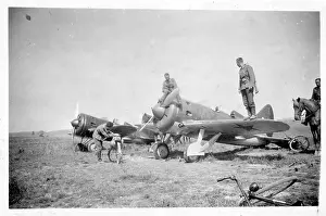 Trainers: Polikarpov UTI-4 fighter trainers