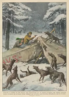 Transylvania: Two Polish aviators confronted by hungry wolves