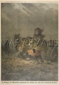 Mistreated: POLISH WOMEN MISTREATED