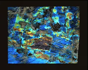 Polished: Polished slab of labradorite