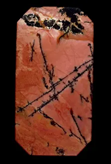 Scar: Polished slab of rhodonite