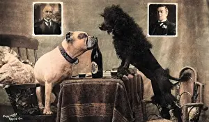 Poodles: A political argument. Bonar Law vs Edward Carson
