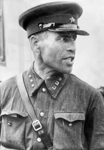 Undertook: Political commissar of the Red Army, 1941