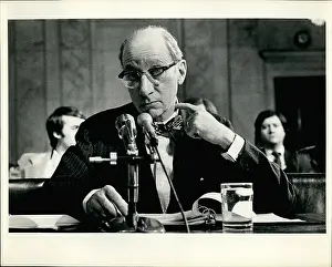 Levi: US Politics - Government