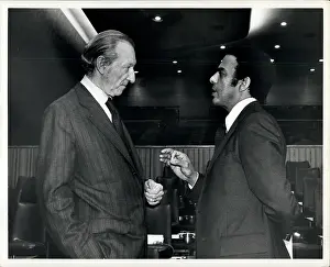 Waldheim: US Politics - Government