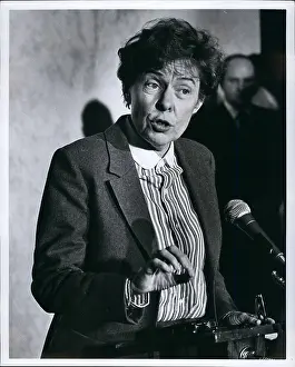 Kirkpatrick: US Politics - Government