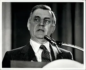 Mondale: US Politics - Government