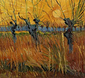 Pollard: Pollard Willows with Setting Sun, by Van Gogh