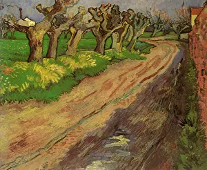 Pollard: Pollard Willows, by Van Gogh