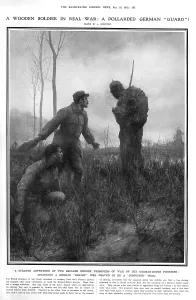 Pollarded: A pollarded German Guard': trees as a soldier, 1916