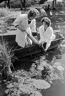 Assistants: Pollution of Lake Pleshcheyevo