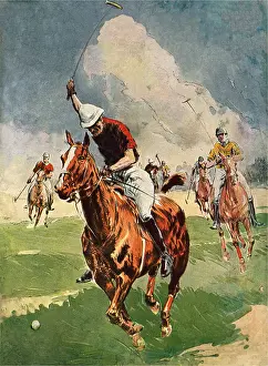 Ponies: Polo Chase