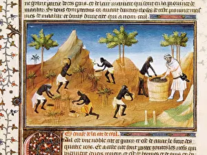 1324: Polo, Marco (1254-1324)