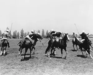 Teammate: POLO MATCH