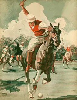Ponies: Polo Player