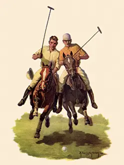 Ponies: Polo Players