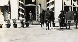 Ponies: Polo ponies in Jaora, India