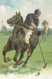 Ponies: Polo Swing