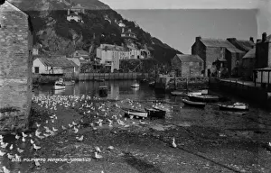 Polperro: Polperro Harbour