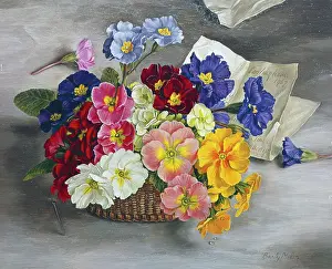 Bunty: Polyanthus ' flowers in a basket