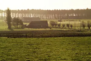 Polygon: Polygon Wood from Zonnebeke