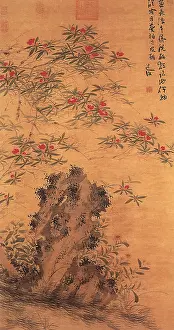 Wildflowers: Pomegranate Blossoms