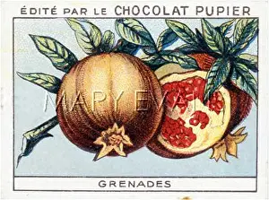 Pomegranates: POMEGRANATES ON A CARD