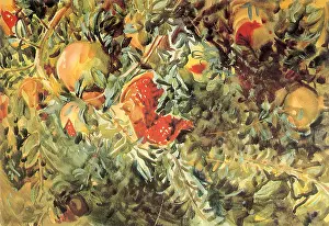 Pomegranates: Pomegranates, by John Singer Sargent