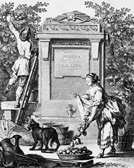Gallica: Pomona Gallica (pear gathering)