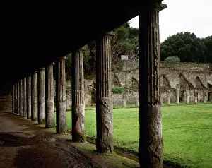 Gladiators: Pompeii. Quadriporticus