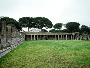 Gladiators: Pompeii. Quadriporticus