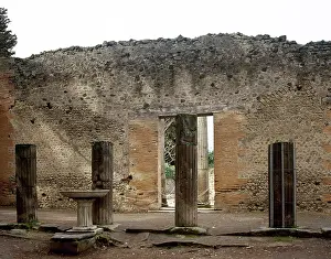 Fluted: Pompeii. Triangular Forum