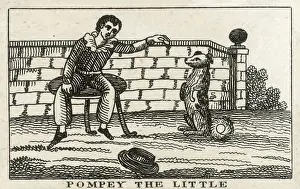 Eponymous: POMPEY THE LITTLE