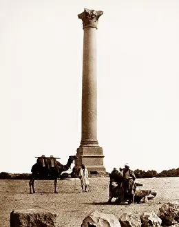 Pompeys: Pompeys Pillar, Alexandria, Egypt