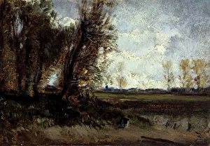 Ponds: The pond