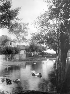 Farmhouse: Pond in Berlin-Wilmersdorf, 1931