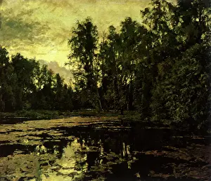 Weeds: Pond Choked by Weeds