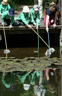 Vickery: Pond-dipping activities