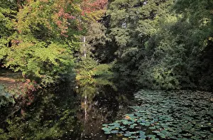 Luiseninsel: Pond, Luiseninsel, Berlin, Germany